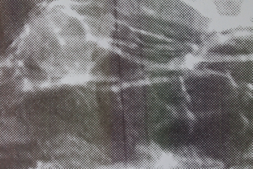 ‘Camouflage Print’ II - Image 23